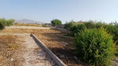 Terraced house in Lorca photo 14