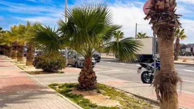 Apartment in El Campello Pueblo photo 60