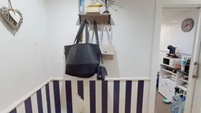 Apartment on Alcalde Felipe Mallol photo 2