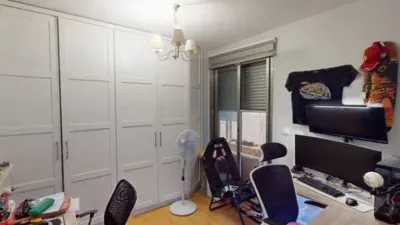 Apartment on Alcalde Felipe Mallol photo 4