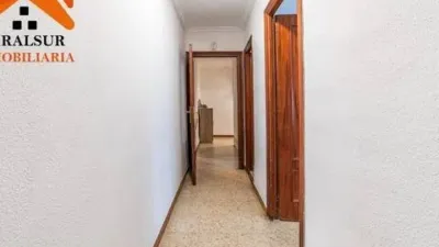 Apartment in Parque Alcosa-Jardines del Edén photo 5