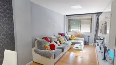 Apartment on Alcalde Felipe Mallol photo 22