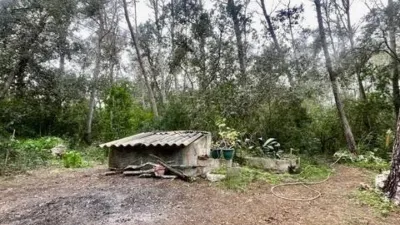 Rustic property in Sineu photo 30