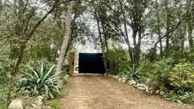 Rustic property in Sineu photo 29