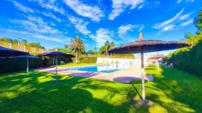 Pis – Torrevieja - Vista 4