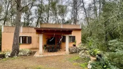Rustic property in Sineu photo 23