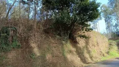 Terreno en venta en A Chantada (Requeira) - Vista 2