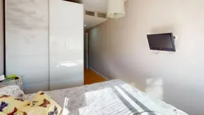 Apartment on Alcalde Felipe Mallol photo 39