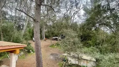 Rustic property in Sineu photo 33