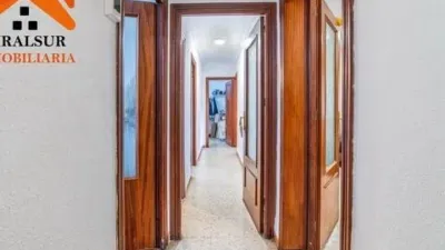 Apartment in Parque Alcosa-Jardines del Edén photo 4