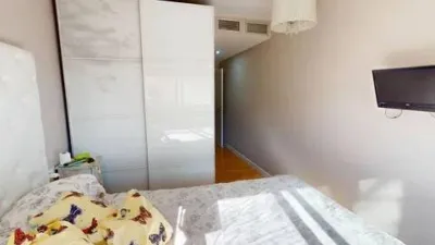 Apartment on Alcalde Felipe Mallol photo 34