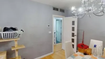 Apartment on Alcalde Felipe Mallol photo 25