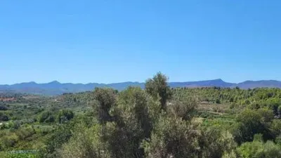 Rustic house in Castellnovo photo 39