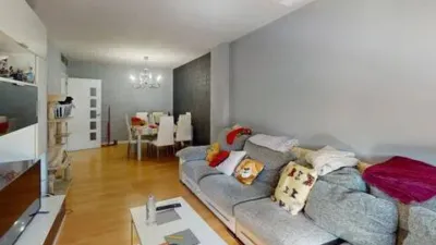 Apartment on Alcalde Felipe Mallol photo 50