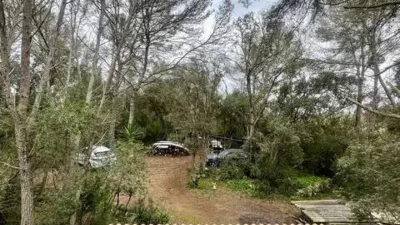 Rustic property in Sineu photo 32
