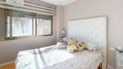 Apartment on Alcalde Felipe Mallol photo 41