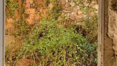 Rustic house in Castellnovo photo 23