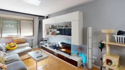 Apartment on Alcalde Felipe Mallol photo 49