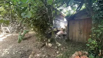 Chalet in Cartelle (Capital) photo 36
