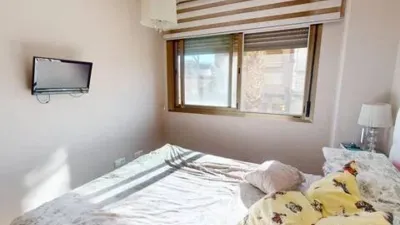 Apartment on Alcalde Felipe Mallol photo 32