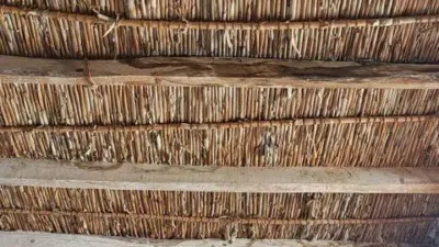 Rustic house in Castellnovo photo 13