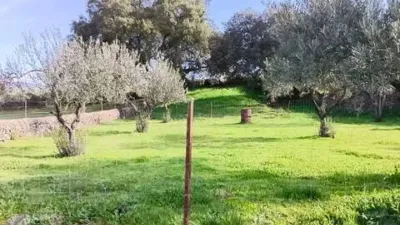 Rustic house in El Castillo de Las Guardas photo 8