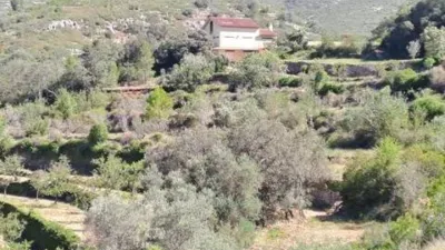 Rustic house on Via Mas Castell Street, No Number photo 5