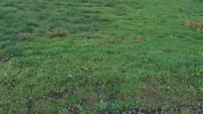 Terreno en venta en Oza-Cesuras - Vista 2