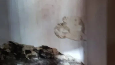 Rustic house in Figueiredo (Paderne de Allariz) photo 5