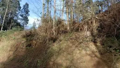 Terreno en venta en A Chantada (Requeira) - Vista 5