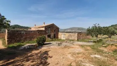 Rustic house in Castellnovo photo 50