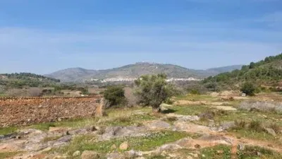Rustic house in Castellnovo photo 33