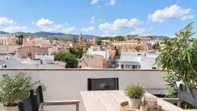 Apartment in Son Armadans photo 3