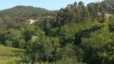 Chalet in Porto Do Son photo 21