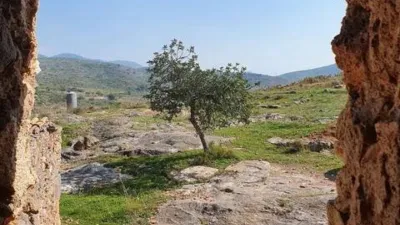 Rustic house in Castellnovo photo 24