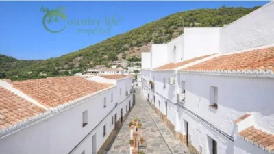 Apartment in Canillas de Aceituno photo 29