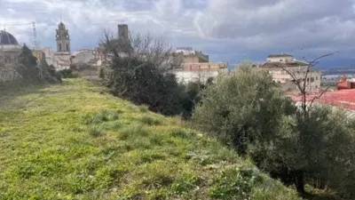Rustic house in Banyeres de Mariola photo 21