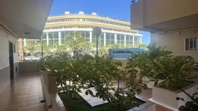 Apartment on Avenida Juan Carlos I photo 14