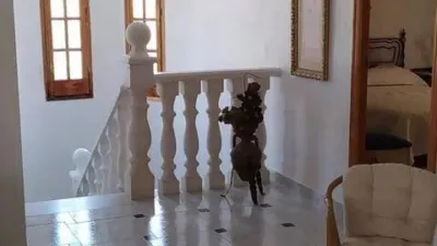 Chalet for sale in Carboneras photo 16