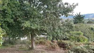 Terreno en venta en Calle Paiosaco No Number - Vista 3