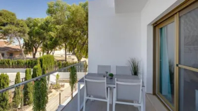 Apartment in Pilar de la Horadada photo 43