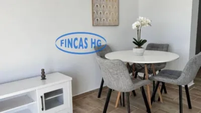Pis – Alicante - Alacant - Vista 4