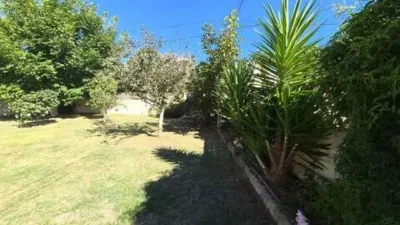 Chalet in Dorneda photo 4