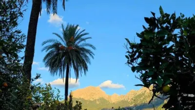 Chalet in Sóller photo 3