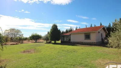 Rustic house on Diseminados Street photo 5