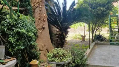 Chalet in Sóller photo 16