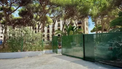 Apartment in Abejuela photo 10