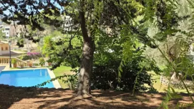 Chalet in Sóller photo 31