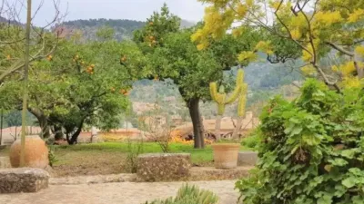 Chalet in Fornalutx photo 55
