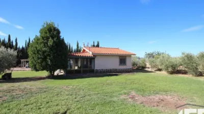 Rustic house on Diseminados Street photo 4